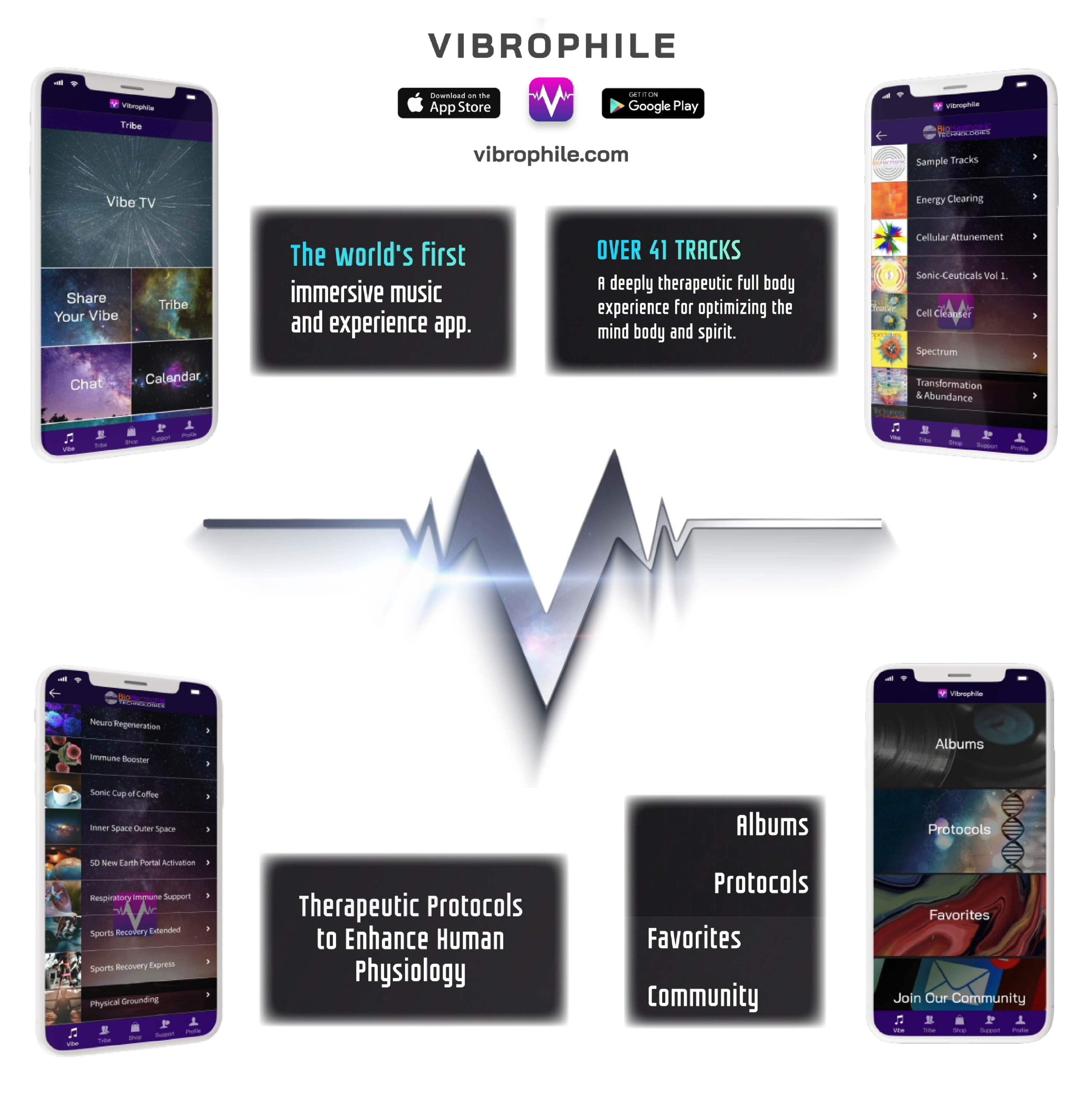 V.I.B.E.S 3.1 & 3.2 Systems Combo