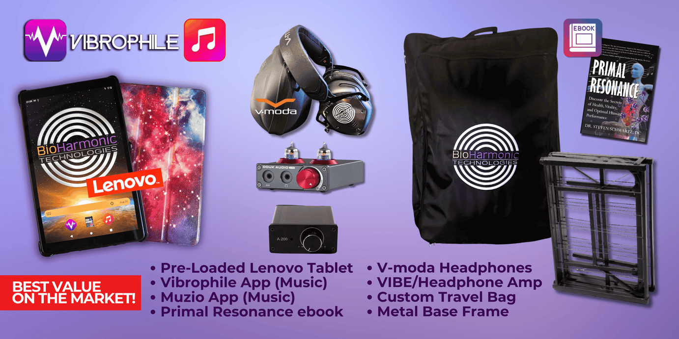V.I.B.E 3.2 Portable Wellness System (Argentina)
