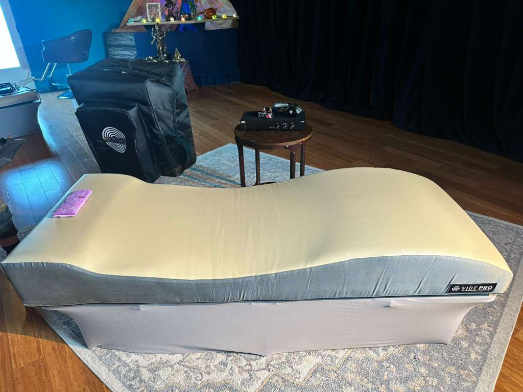 VIBE Wellness System