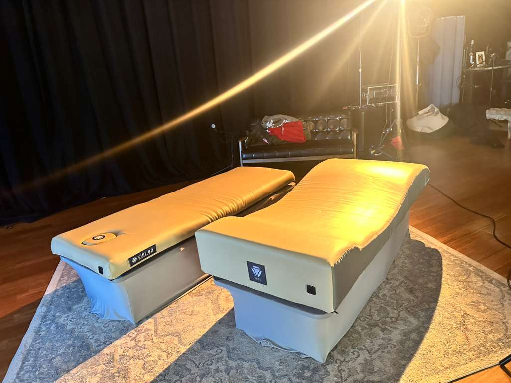 VIBE Wellness System