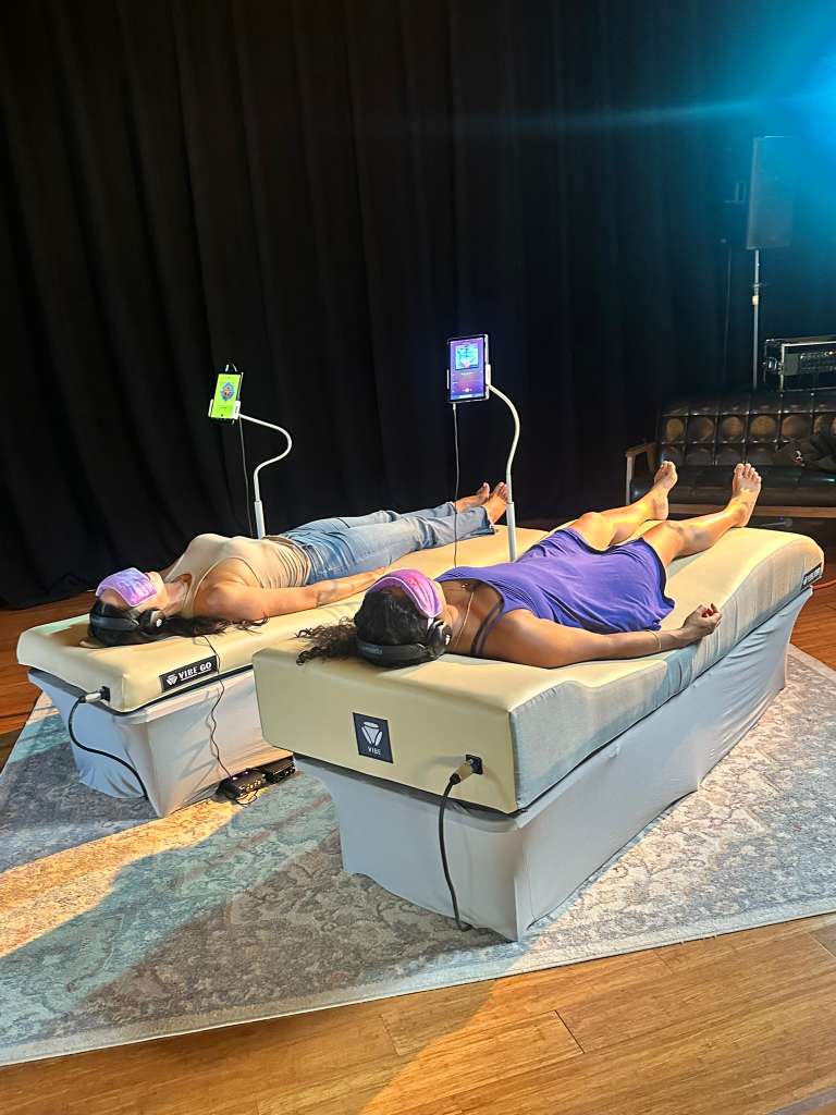 VIBE Wellness System